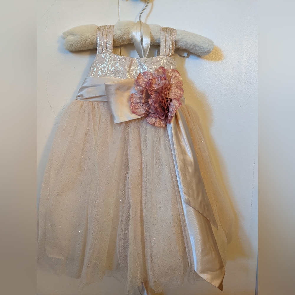 Chantilly Place Blush Flower Girl Dress NWT
